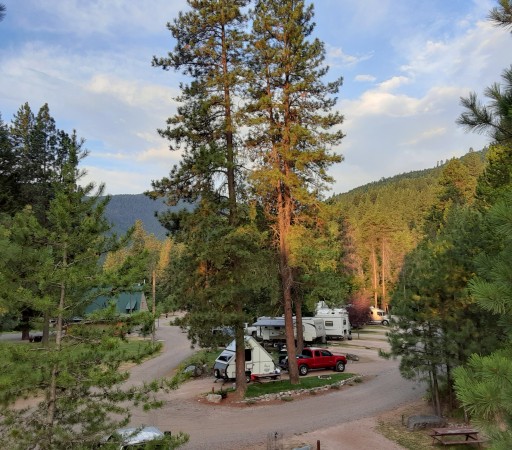 Vintage Airstream RV parked among pine trees with Montana mountains at golden hour