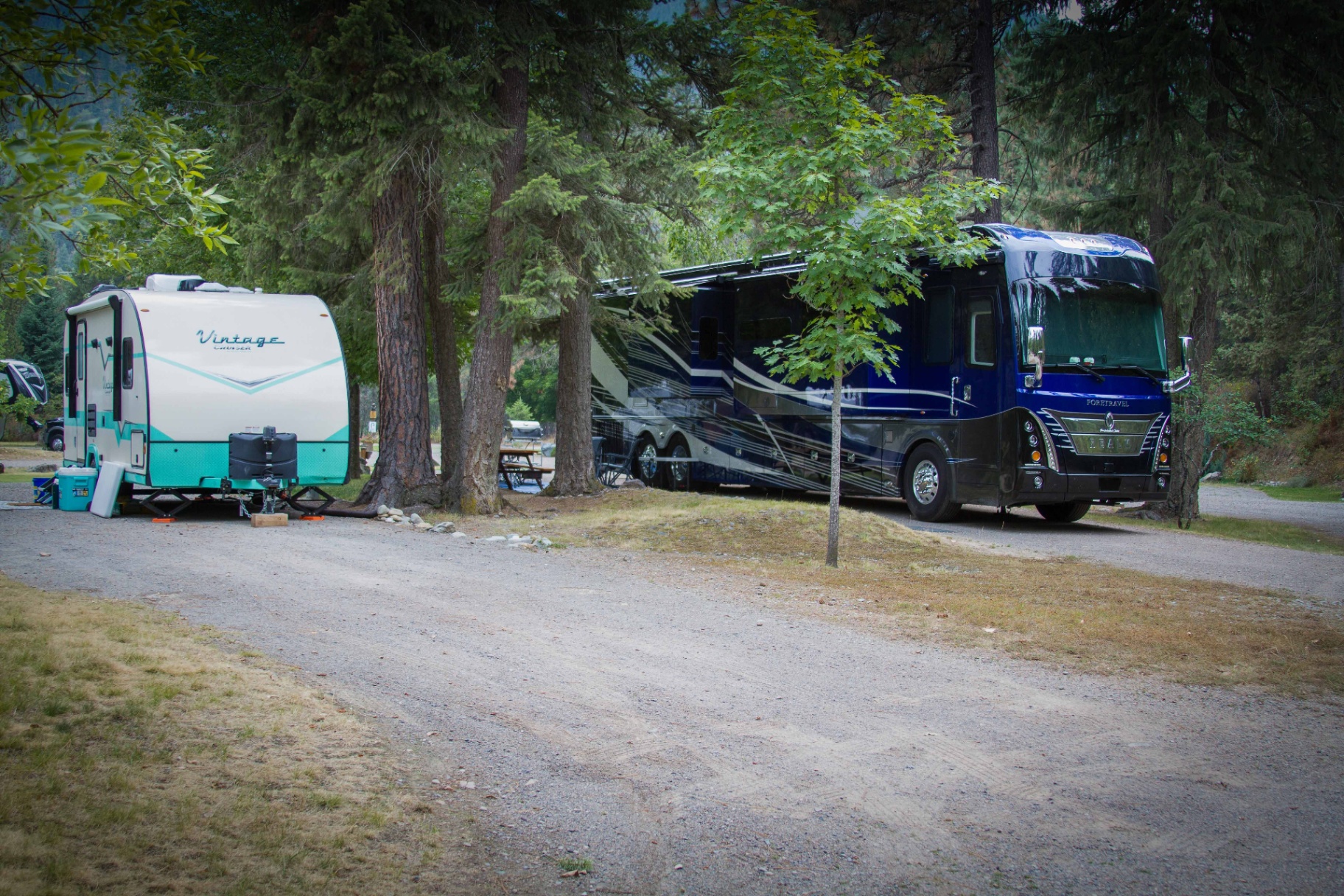 A vintage travel trailer and a large Class A motorhome parked side-by-side on spacious shaded pull-through sites among tall pine trees at Campground St. Regis